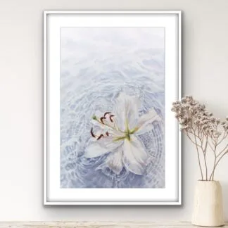 In Water. Lily