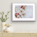 Blossom of the spring