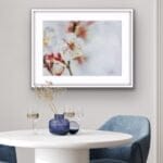 Blossom of the spring