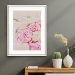 Peonies