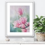 Magnolias
