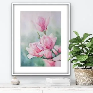 Magnolias