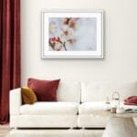 Blossom of the spring