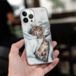 Cat iPhone Case