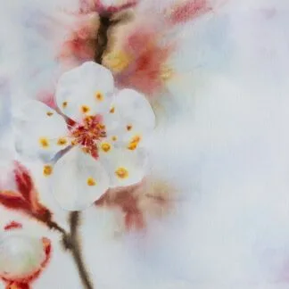 Blossom of the spring, watercolor on paper, 29x40 cm