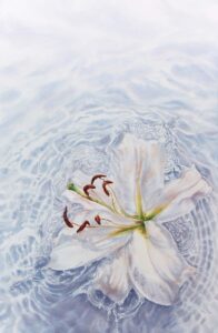 In Water. Lily, watercolor on paper, 56x38 cm