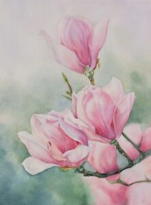 Magnolias, watercolor on paper, 36x26 cm