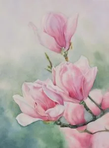 Magnolias, watercolor on paper, 36x26 cm