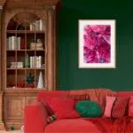Poinsettia Magenta watercolor painting placed above the sofa in a living room, infusing the space with joyful, festive vibes.