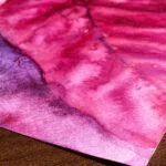 Detailed closeup of the red and magenta shades in the Poinsettia flower, emphasizing the texture and lively expression of the painting.