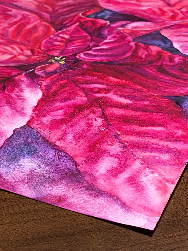 Focused closeup of the blooming Poinsettia's bright magenta hues, showing the dynamic movement in the watercolor technique.