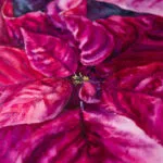 Closeup of the lush red Poinsettia petals, highlighting the depth and texture of this expressionistic floral painting.