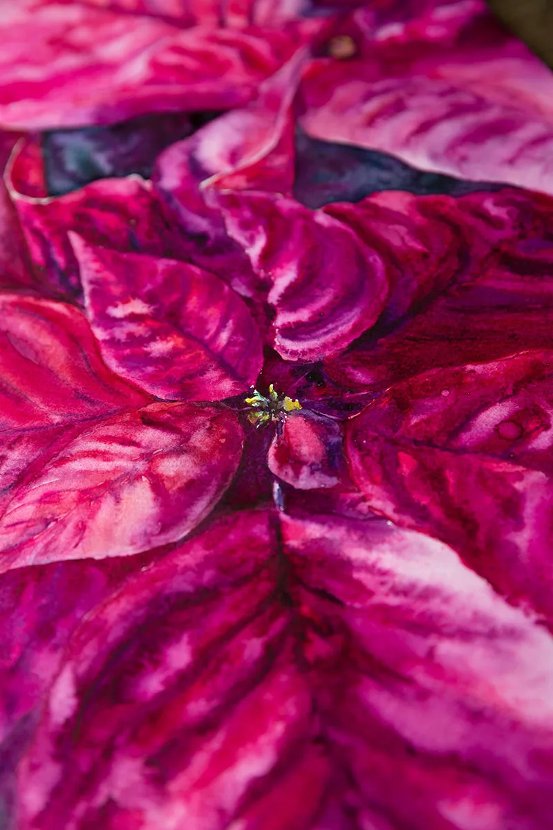 Closeup of the lush red Poinsettia petals, highlighting the depth and texture of this expressionistic floral painting.