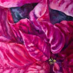 Detailed closeup of the Poinsettia petals, showcasing the rich magenta hues and expressive brushstrokes in this festive watercolor painting.