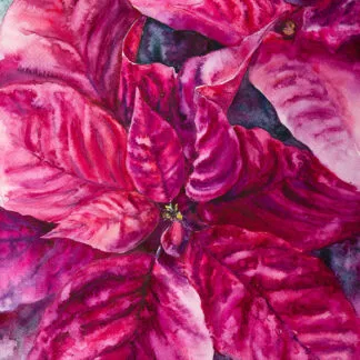 Vibrant magenta and red Poinsettia flower painted in an expressionistic style, with dynamic brushstrokes capturing the festive spirit of the holiday season. The painting embodies the warmth, beauty, and energy of the iconic Christmas flower, making it a perfect seasonal artwork for bringing color and joy to any space.