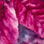 Kateryna Nazarenko’s signature on the bottom corner of the 'Poinsettia Magenta' painting, confirming its originality and authenticity.