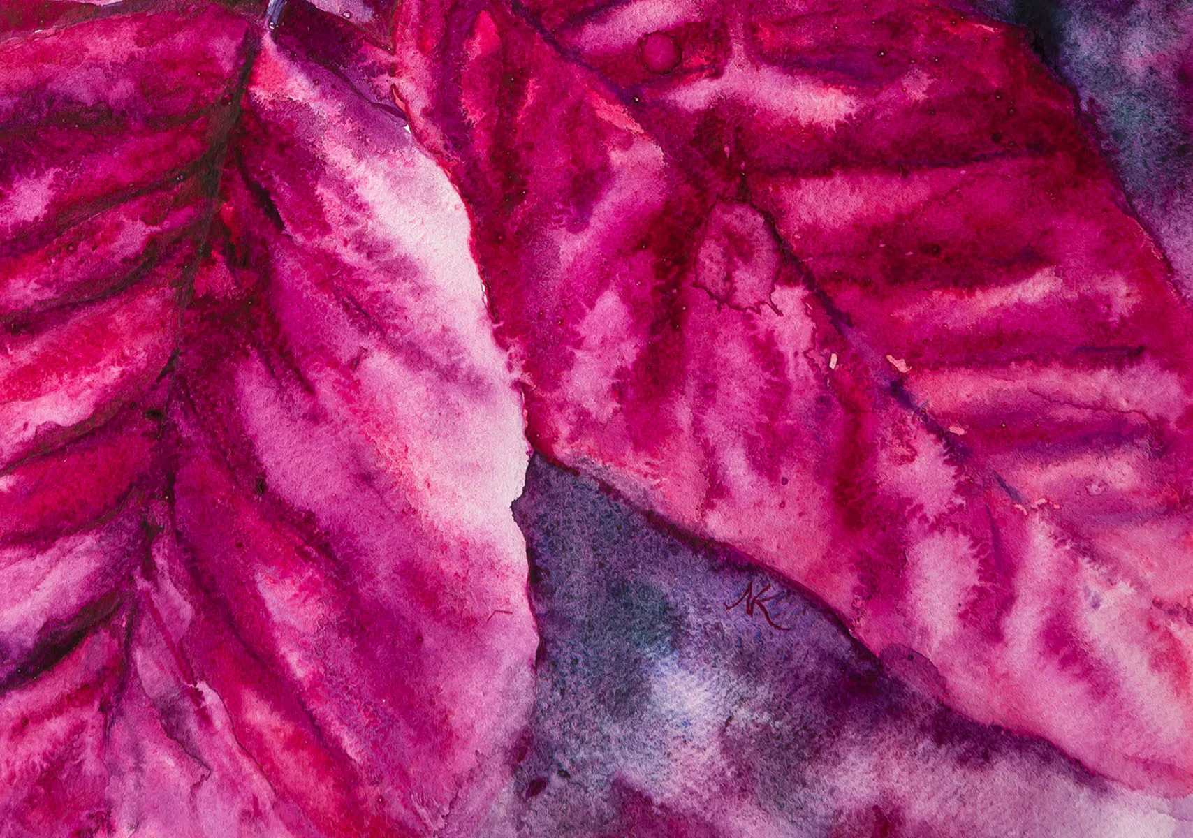 Kateryna Nazarenko’s signature on the bottom corner of the 'Poinsettia Magenta' painting, confirming its originality and authenticity.