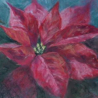 Original soft pastel painting of a red poinsettia, highlighted with delicate pastel textures.