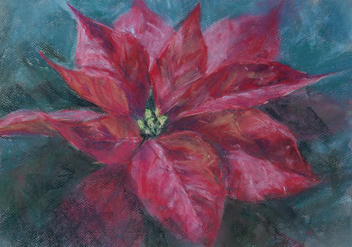 Original soft pastel painting of a red poinsettia, highlighted with delicate pastel textures.