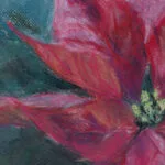 Detailed view of the dark red poinsettia with pastel highlights, emphasizing the impressionistic style.