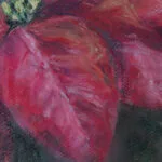 Close-up of the red poinsettia petals, showcasing the velvety texture and dynamic depth of the soft pastel painting.