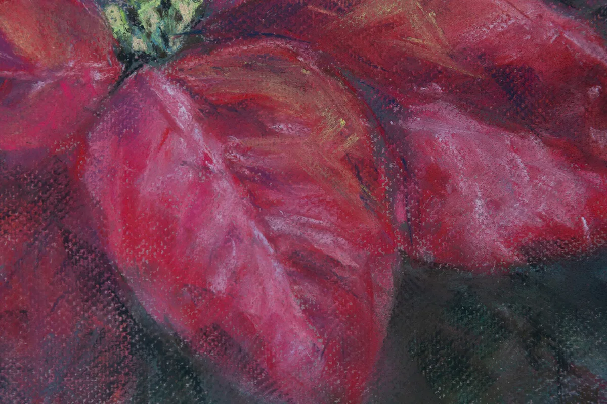 Close-up of the red poinsettia petals, showcasing the velvety texture and dynamic depth of the soft pastel painting.