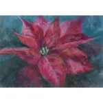 Red poinsettia flower soft pastel painting, featuring vibrant red petals on a soft gray background.