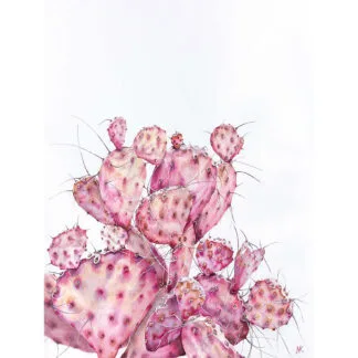 Watercolor painting of a pink opuntia cactus with soft pastel tones on white paper, showcasing the beauty of desert flora.