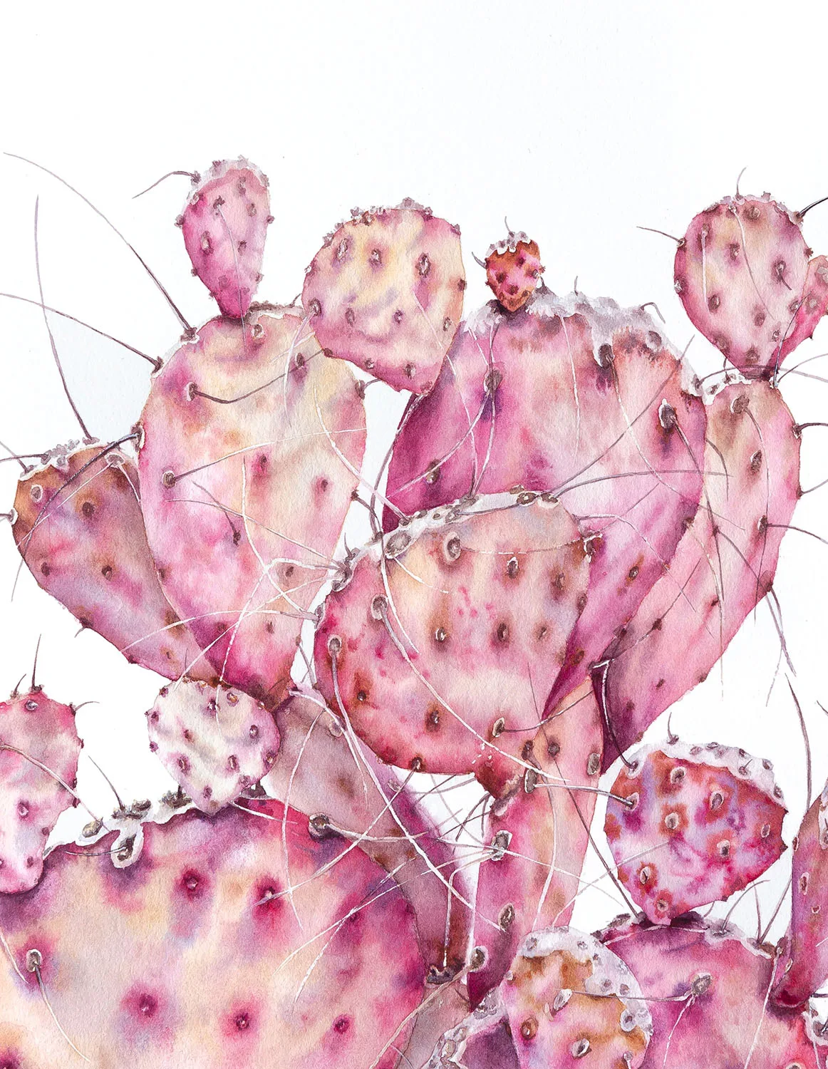 Detailed watercolor depiction of a soft pink opuntia cactus flower, highlighting its fine textures and pastel color palette.
