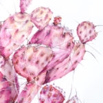 Close-up of the pink opuntia cactus painted with intricate textures and delicate pastel details.