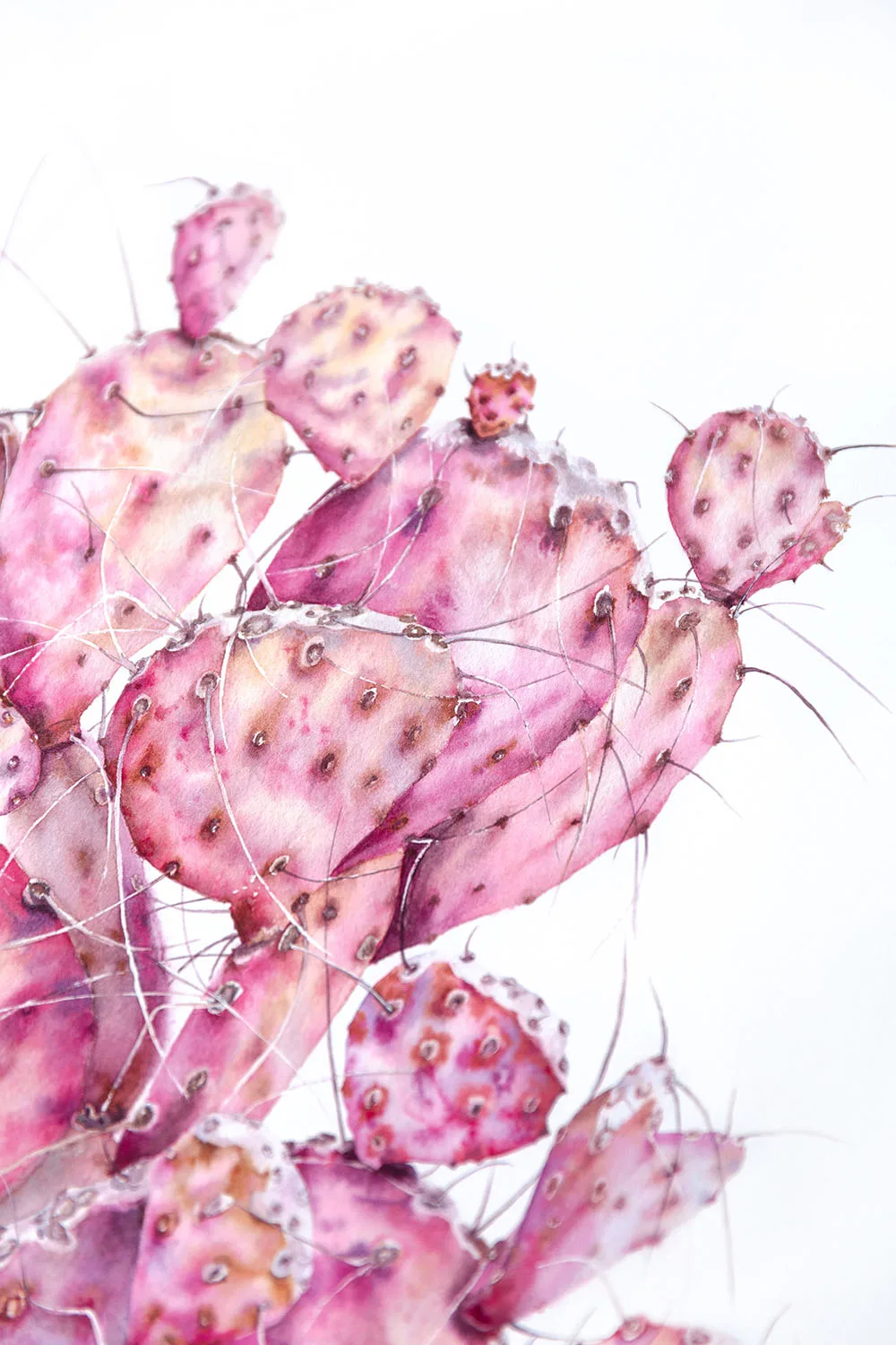 Close-up of the pink opuntia cactus painted with intricate textures and delicate pastel details.