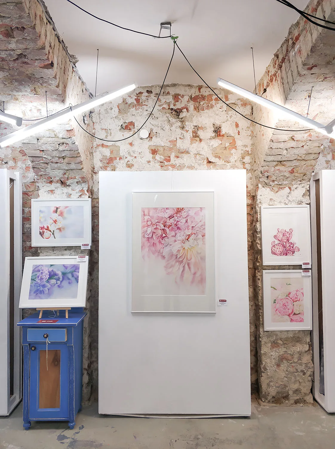 Pink Opuntia Cactus watercolor painting displayed on an exhibition wall, showcasing its soft pastel tones and delicate botanical details, adding elegance and tranquility to the art space.