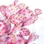 Close-up of the opuntia cactus flower, focusing on its soft pink petals and the detailed texture of the watercolor strokes, adding a tranquil, nature-inspired touch.