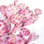 Close-up of the opuntia cactus flower, focusing on its soft pink petals and the detailed texture of the watercolor strokes, adding a tranquil, nature-inspired touch.