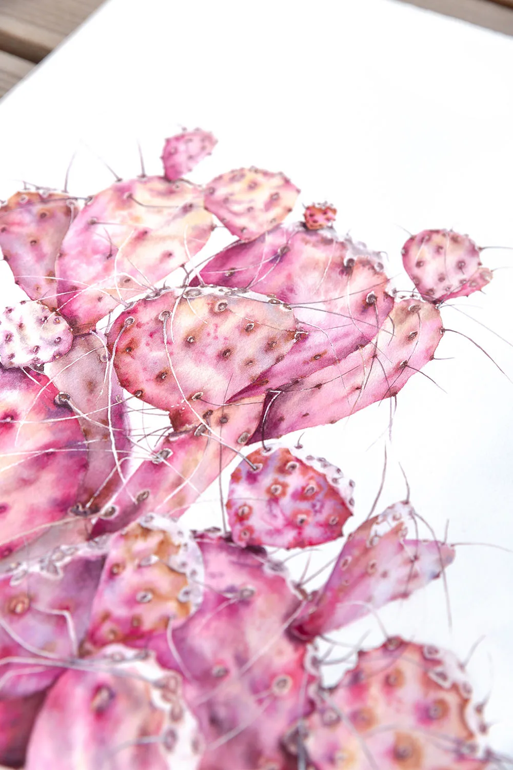 Close-up of the opuntia cactus flower, focusing on its soft pink petals and the detailed texture of the watercolor strokes, adding a tranquil, nature-inspired touch.
