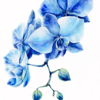 Blue Orchids – Original Watercolor Painting of Orchid Flowers in Shades of Blue, Elegant Botanical Wall Art by Kateryna Nazarenko