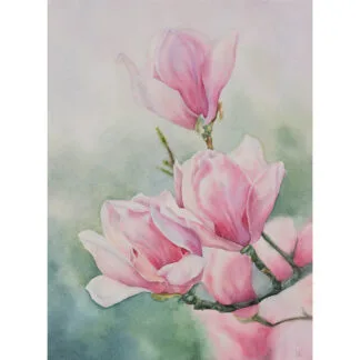 Pink Magnolias original watercolor painting featuring delicate magnolia blossoms in soft pink hues against a dreamy green background.
