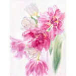 Dancing Tulips original watercolor painting featuring vibrant pink and soft white tulips in full bloom, evoking the beauty and movement of spring.