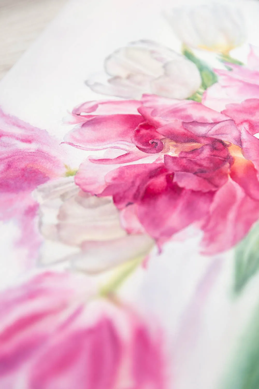 Detailed view of pink tulip petals in Dancing Tulips watercolor painting, highlighting soft color transitions and fluid brushstrokes.