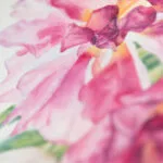 Macro shot of delicate white tulips in Dancing Tulips, emphasizing the lightness and contrast in the floral watercolor composition.