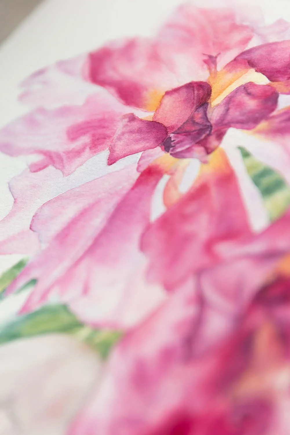 Macro shot of delicate white tulips in Dancing Tulips, emphasizing the lightness and contrast in the floral watercolor composition.