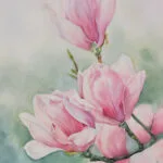 Watercolor painting of soft pink magnolia flowers in full bloom, with delicate petals and a blurred green background, capturing the elegance and beauty of springtime.