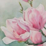 Detailed view of magnolia petals in Pink Magnolias, highlighting soft brushstrokes and the luminous effect of watercolor.