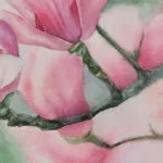 Kateryna Nazarenko’s signature on Pink Magnolias watercolor painting, marking it as an original floral artwork.