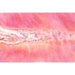 Original watercolor artwork titled "Pink Lakes of Ukraine," showcasing the surreal pink salt lakes of southern Ukraine with organic textures, crystalline salt effects, and vibrant mineral tones — coastal nature painting.