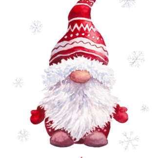 Christmas Gnome