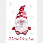Christmas Gnome
