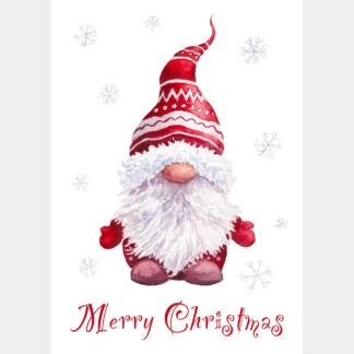 Christmas Gnome